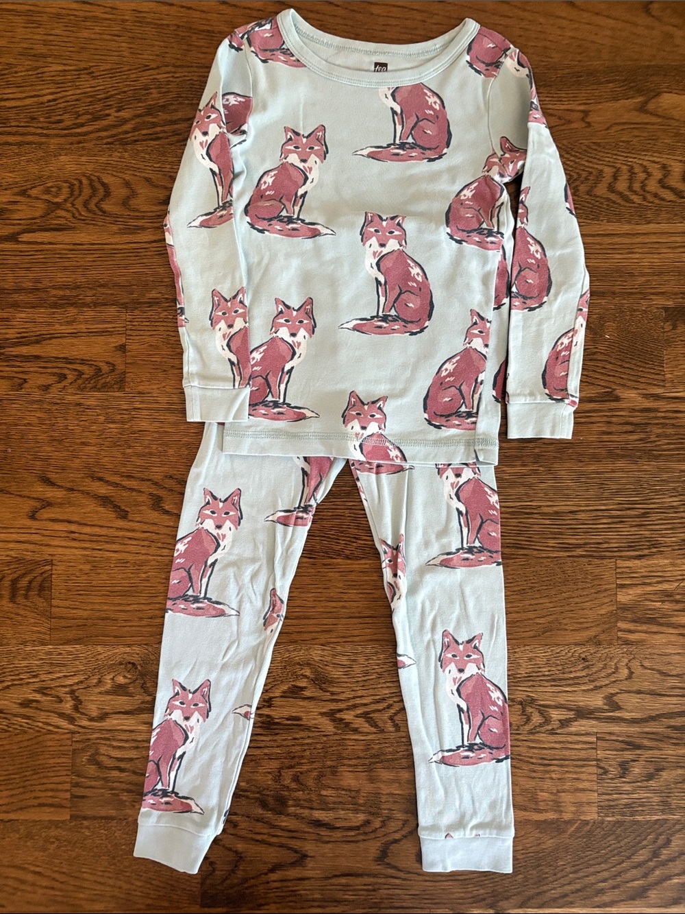 Tea Collection Light Blue and Rose Fox Two-Piece Pajama Set